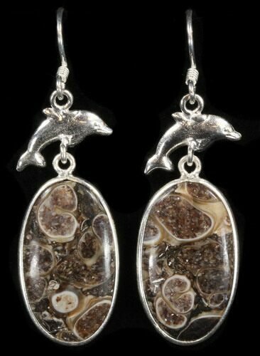 Fossil Turritella (Gastropod) Earrings - Sterling Silver #38121